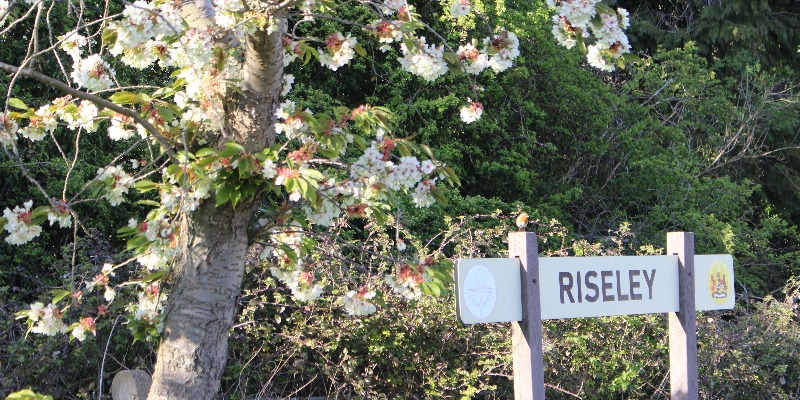 ASR: Village sign