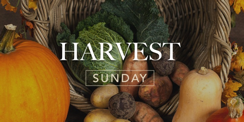 Harvest 3